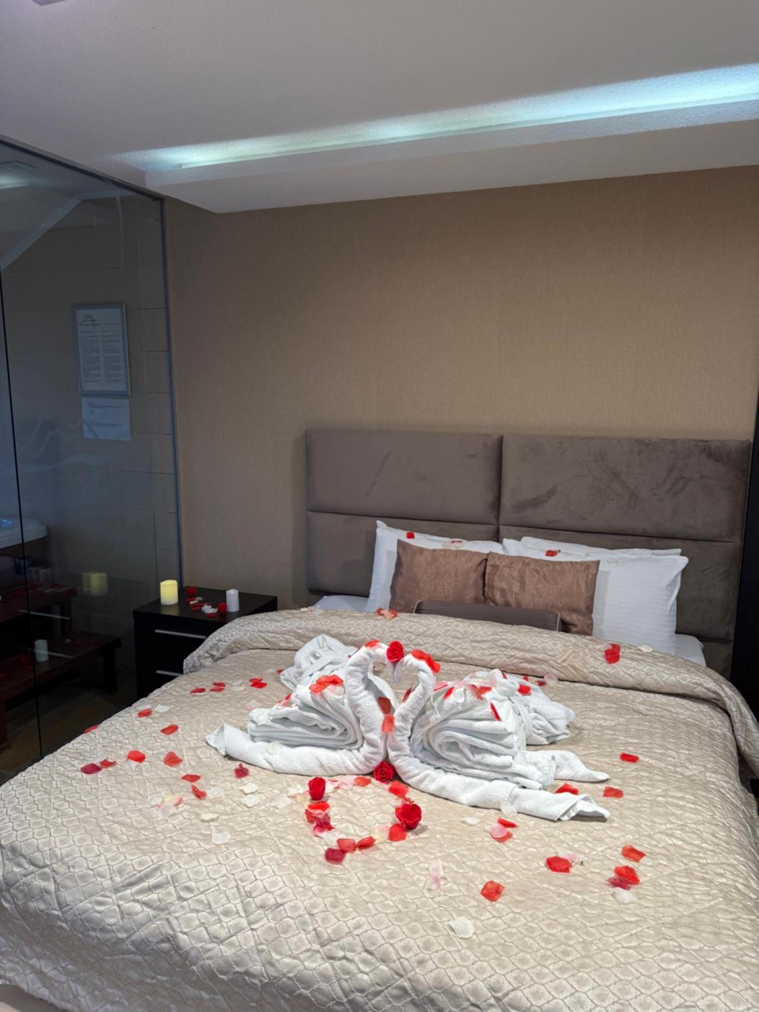 Guest House Panorama Aqualux With Free Parking Novi Sad Exterior foto