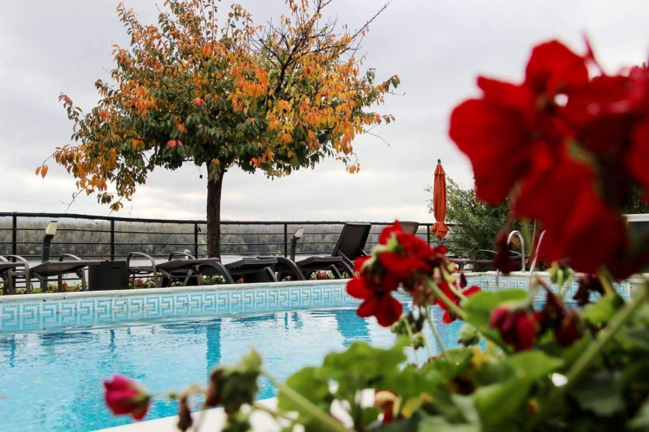 Guest House Panorama Aqualux With Free Parking Novi Sad Exterior foto